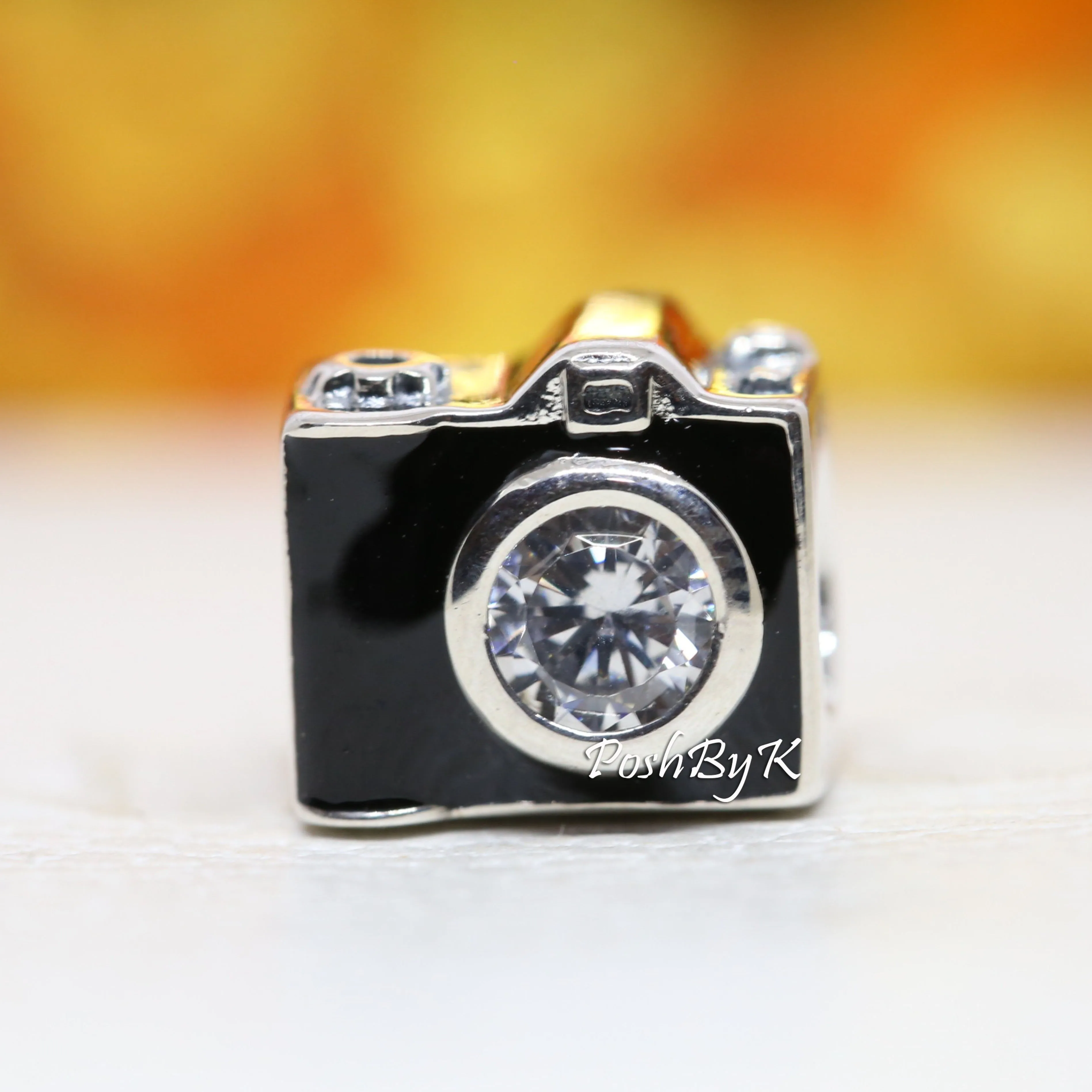 Camera Charm 791709CZ