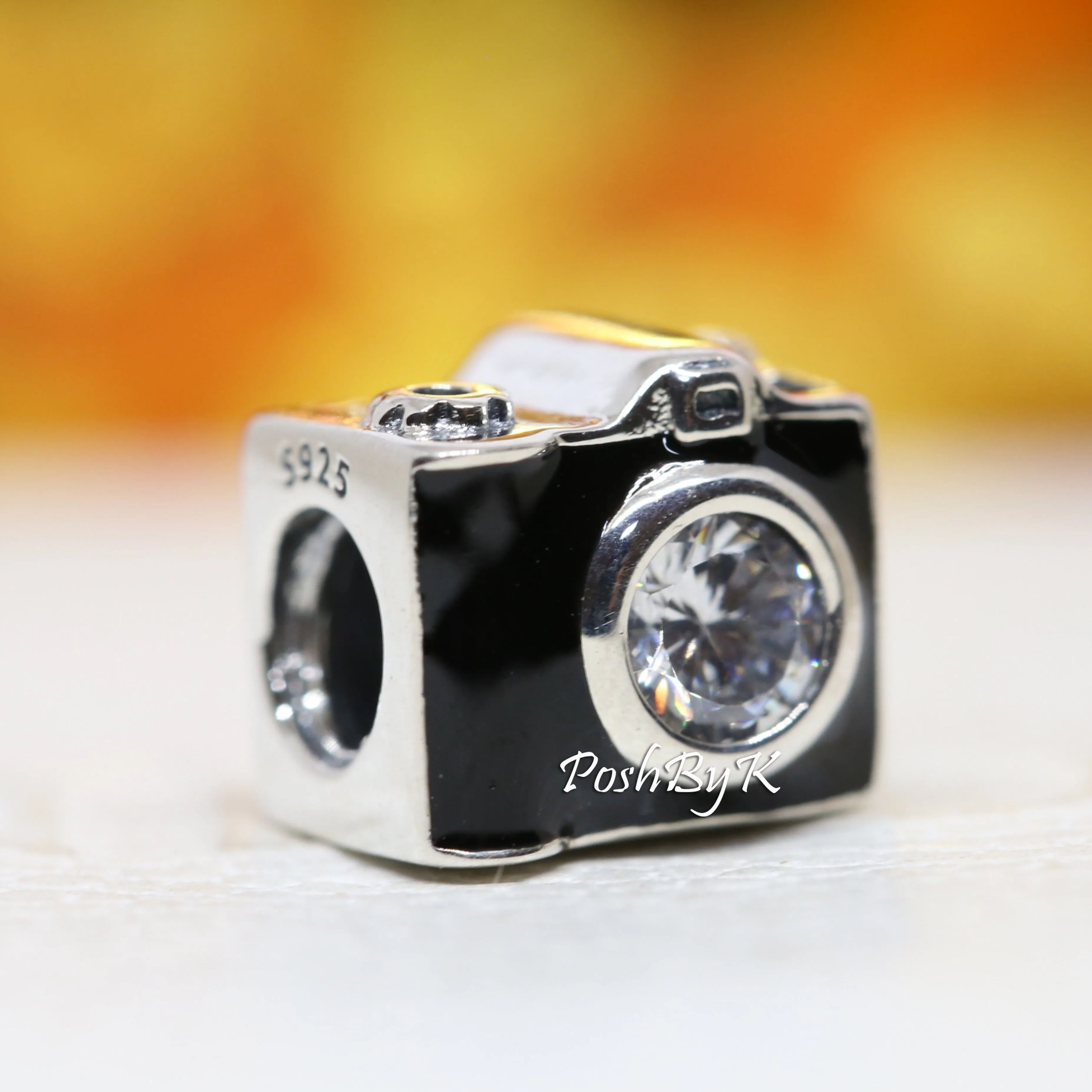 Camera Charm 791709CZ