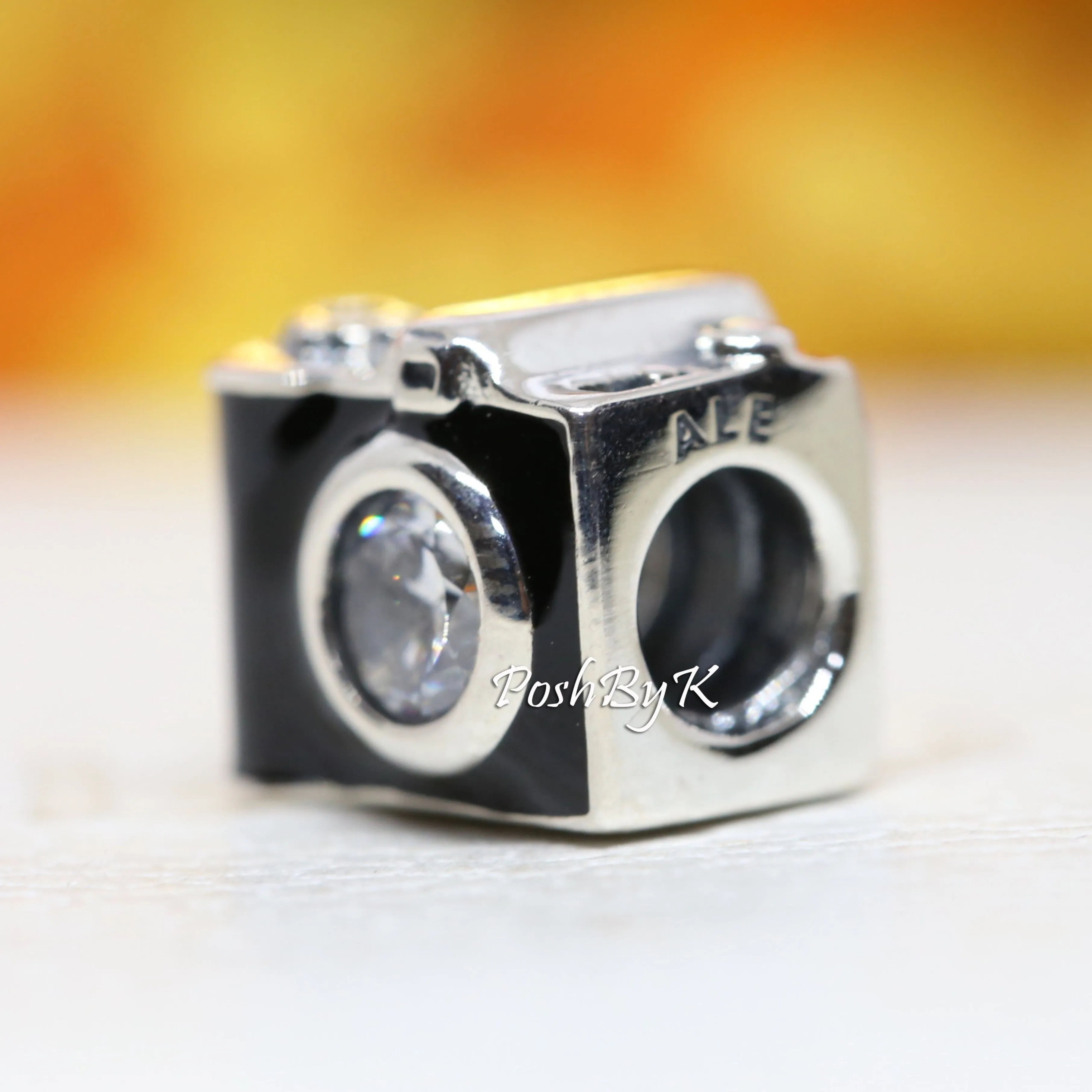 Camera Charm 791709CZ