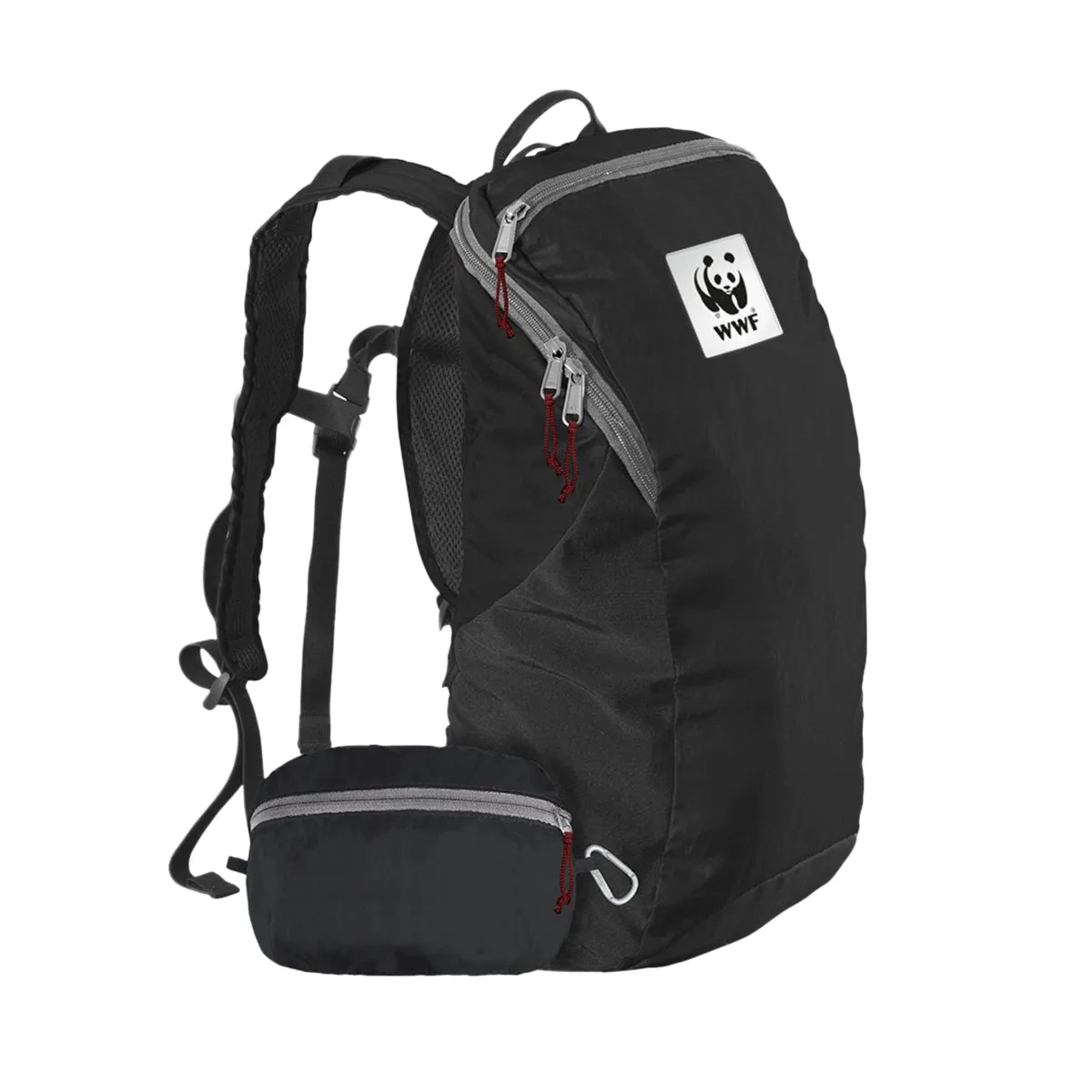 ChicoBag travel backpack