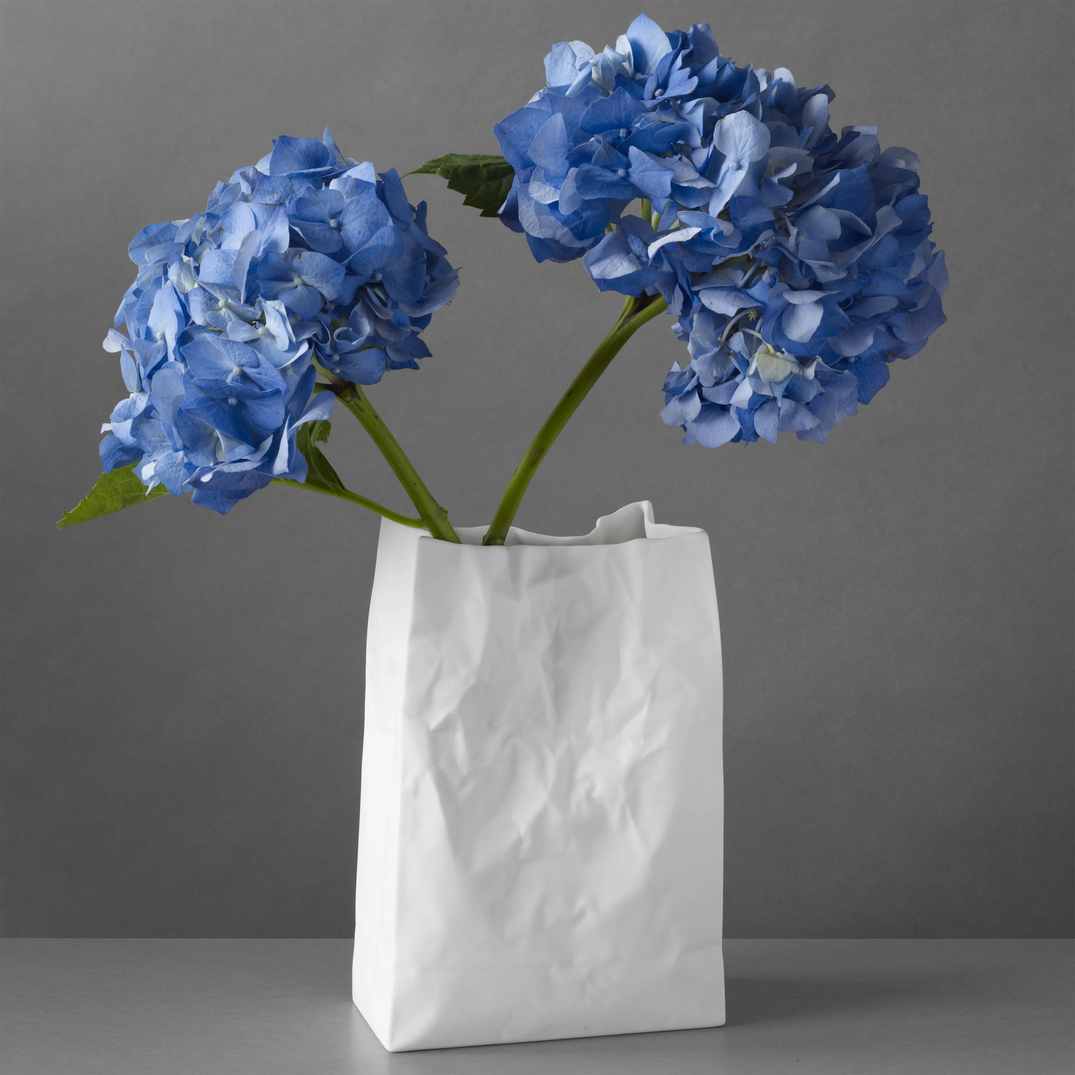 Crinkle Bag Vase