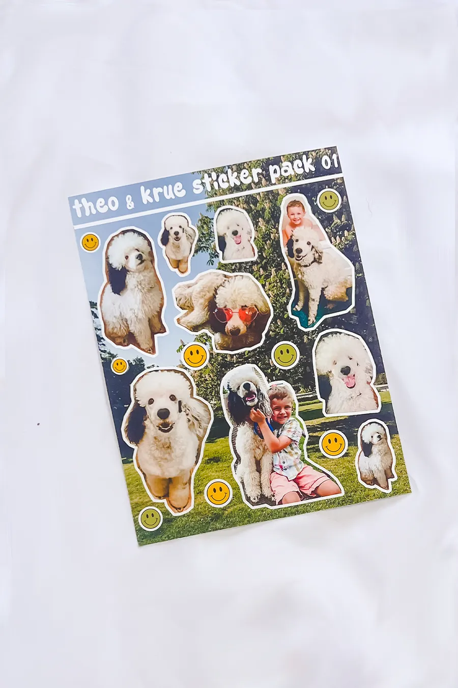 Custom Pet Sticker Sheet #1