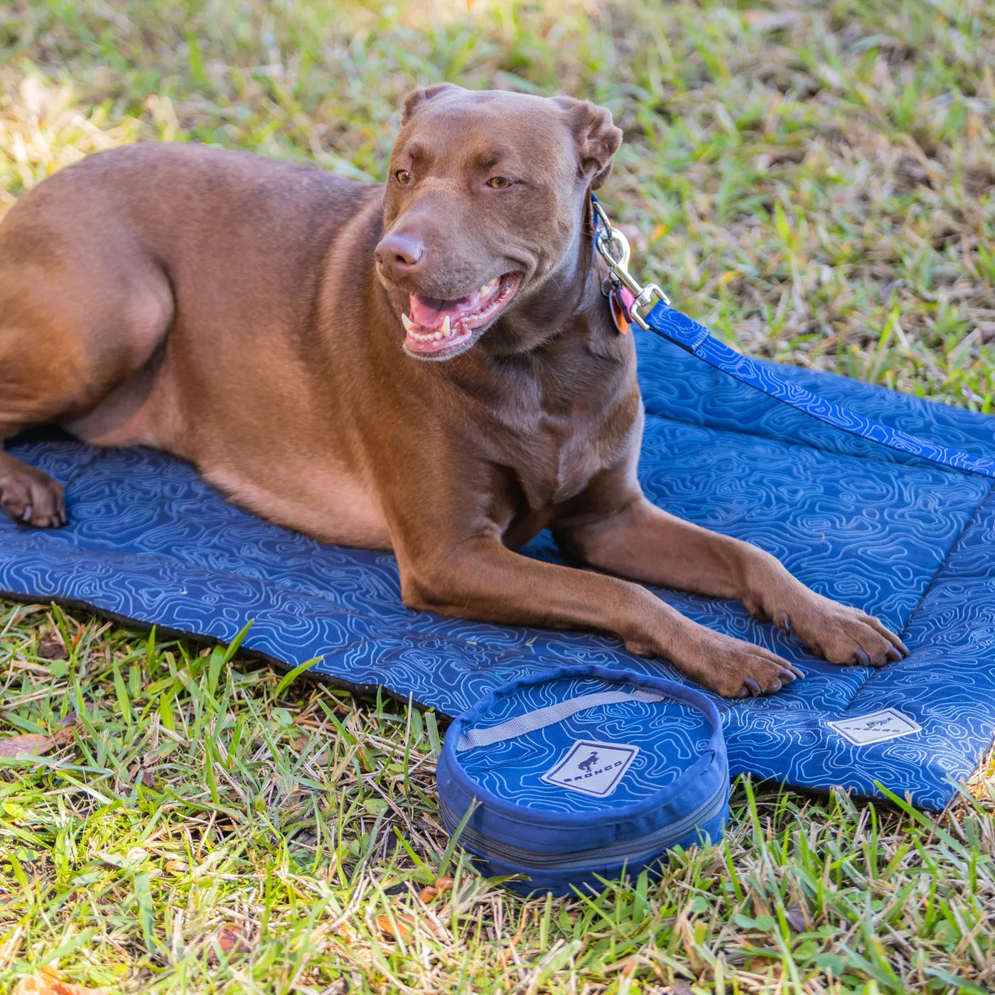 Ford Bronco Topographical Pet Cushion