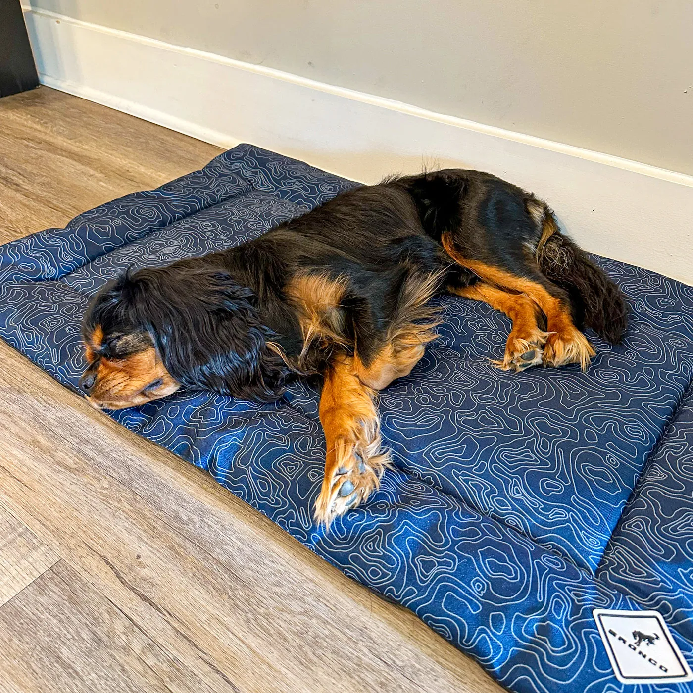 Ford Bronco Topographical Pet Cushion