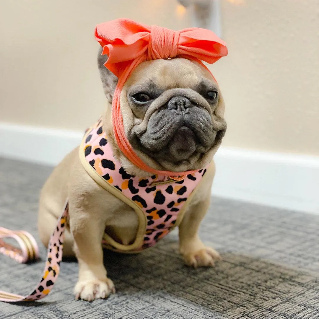 Frenchiestore Pet Head Bow | Peach