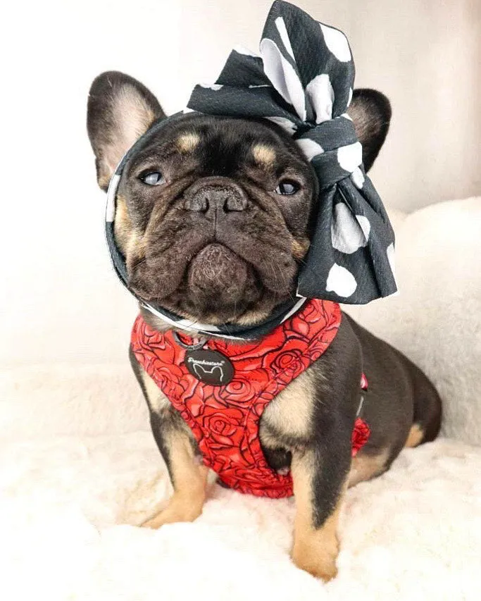 Frenchiestore Pet Head Bow | Polka Dots