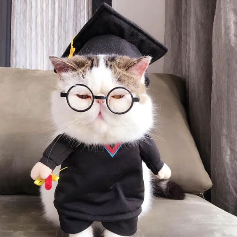 Graduate Pet Costume