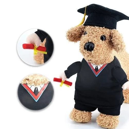 Graduate Pet Costume