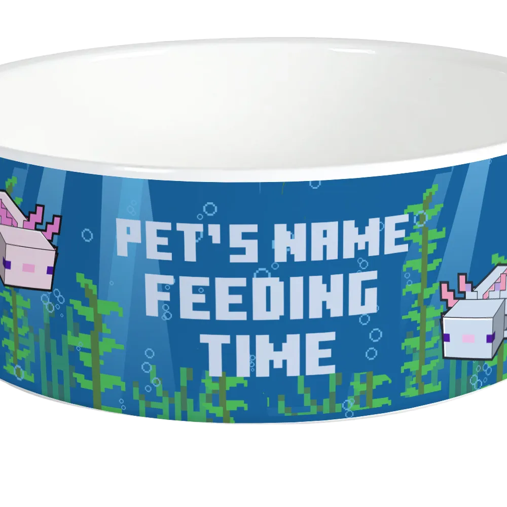 Minecraft Axolotl Feeding Time Personalized Pet Bowl