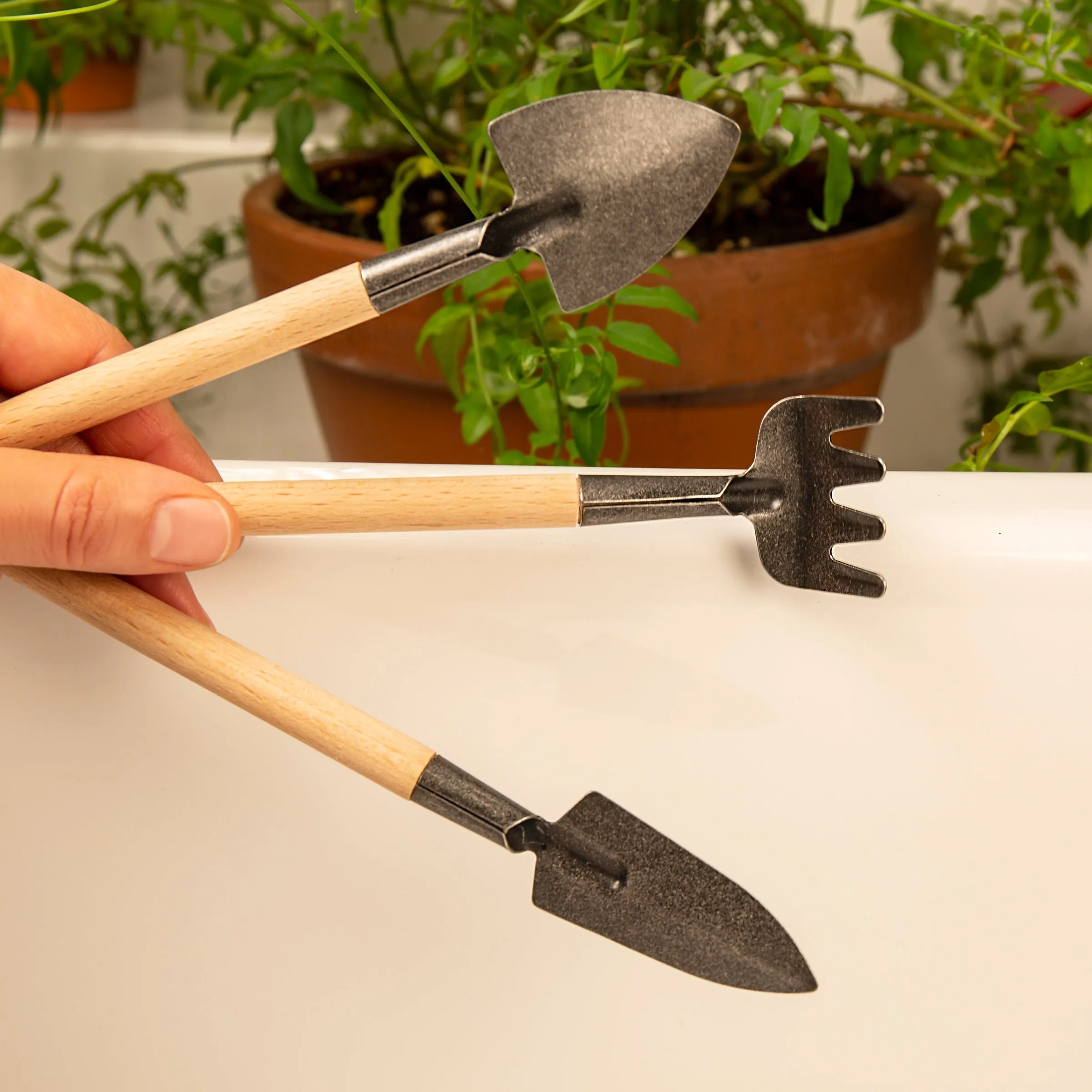 Mini Garden Tool Set