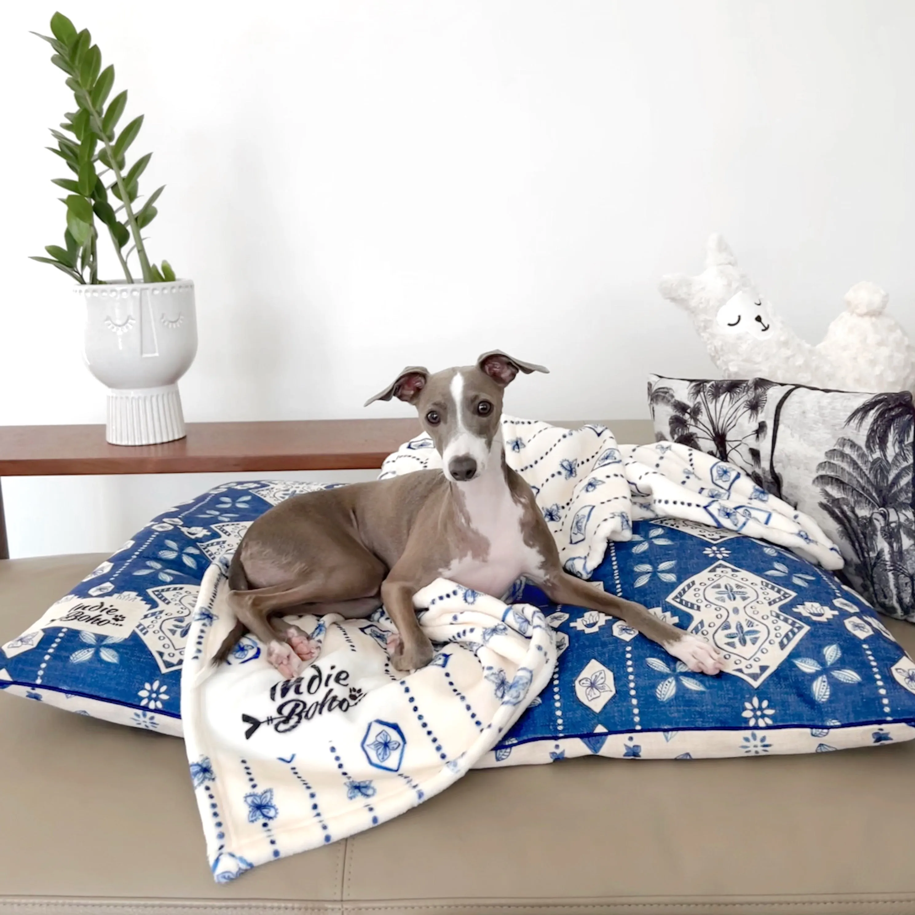 Noosa Nights - Designer Pet Blanket