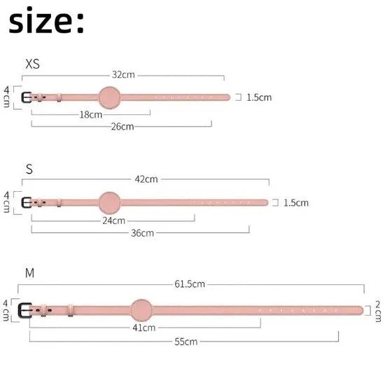 Perrsonalized Pet Collar for AirTag