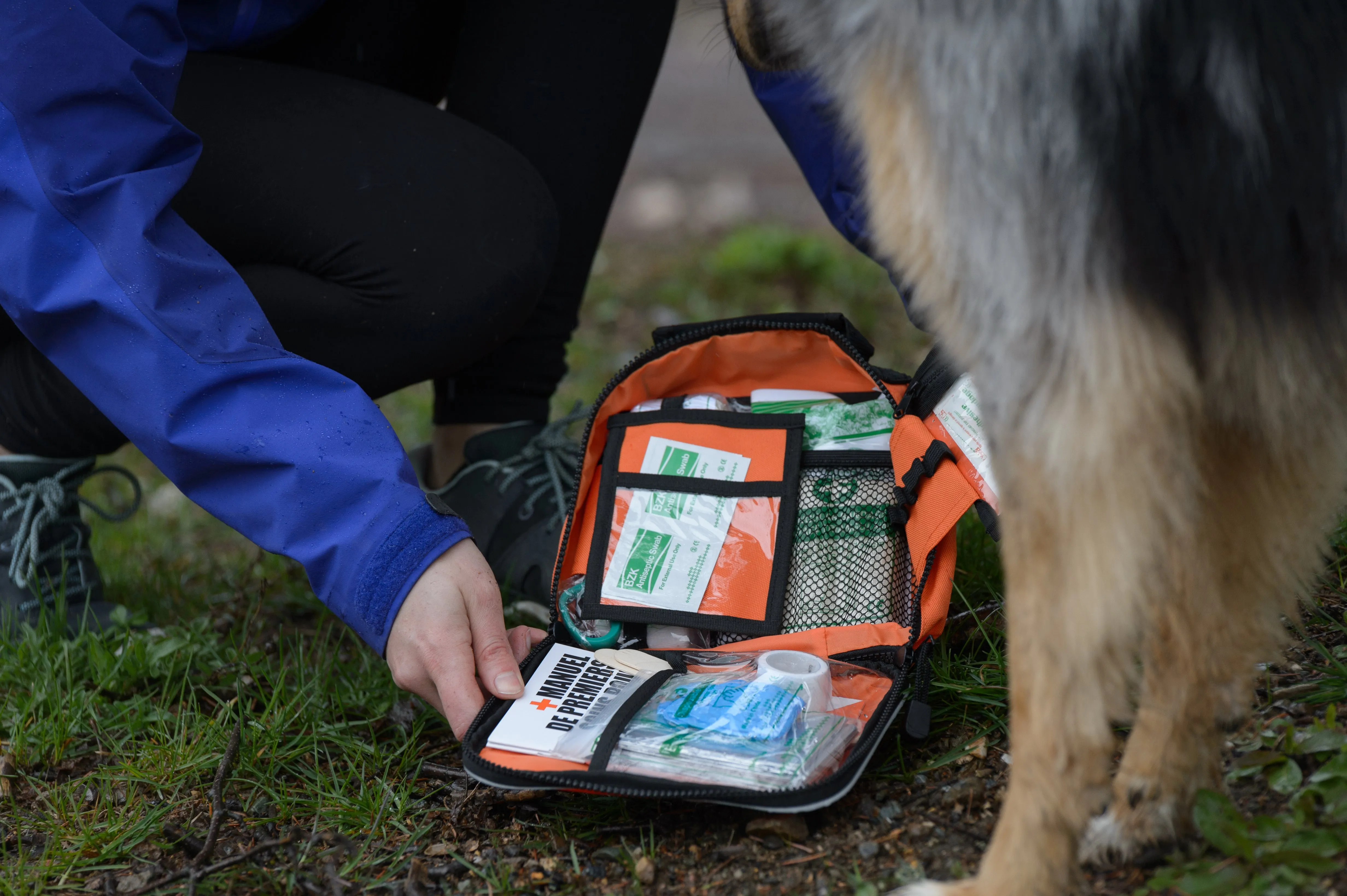 Pet First Aid Kit