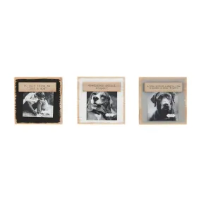 Pet Magnet Block Frames