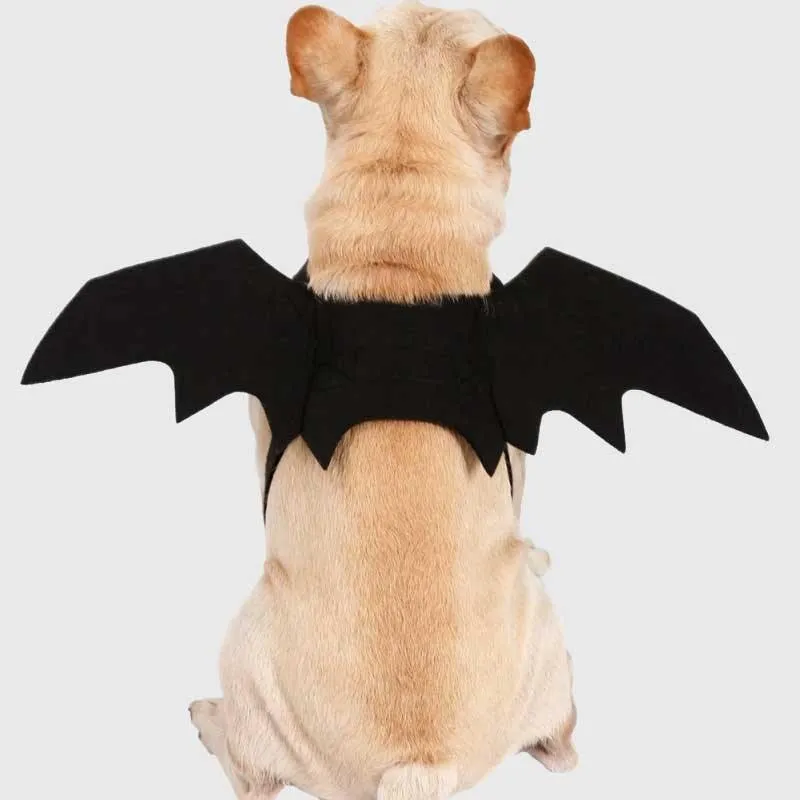 Pet Vampire Bat Wings