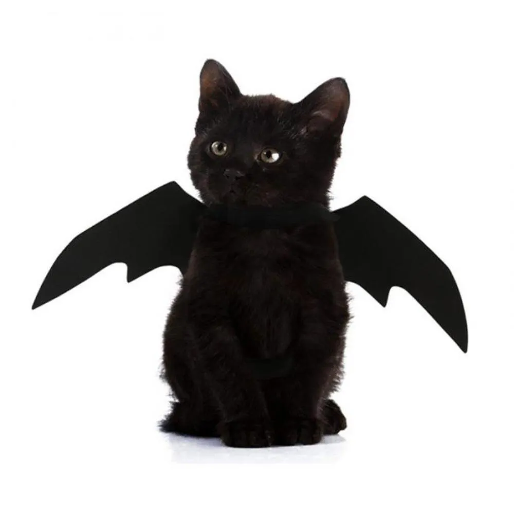 Pet Vampire Bat Wings