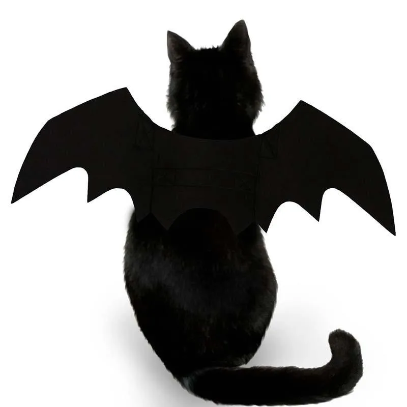 Pet Vampire Bat Wings