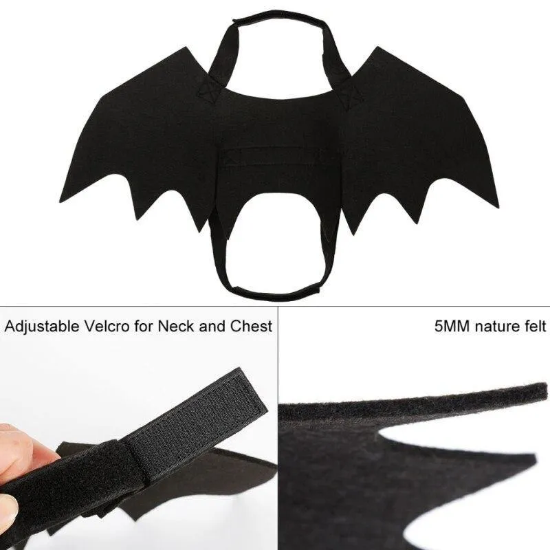 Pet Vampire Bat Wings