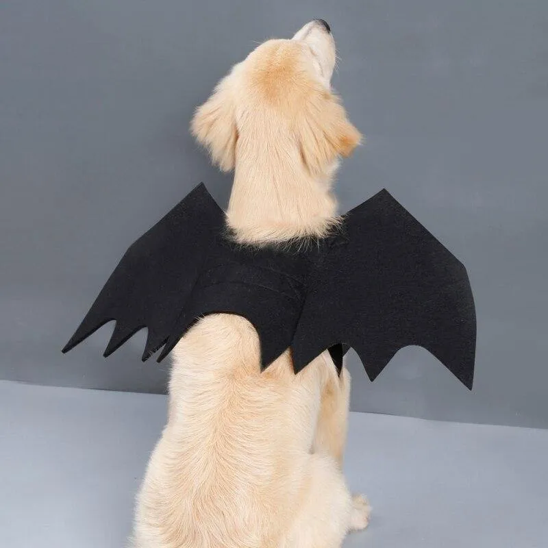 Pet Vampire Bat Wings