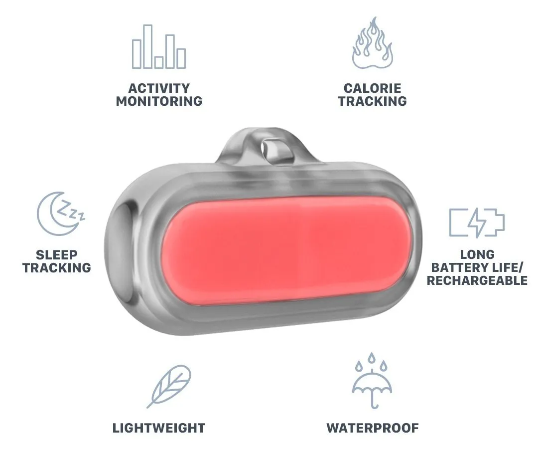 Poof Bean Pet Activity Tracker