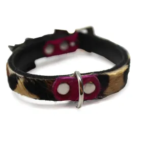 Small Pet Collar