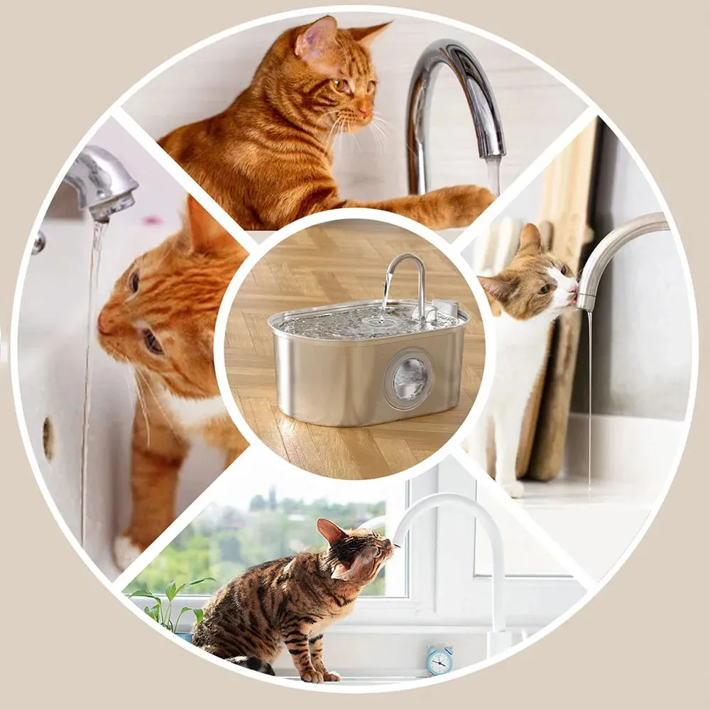 Stainless Steel Pet Faucet Fountain